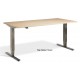 Forge Dual Motor Height Adjustable Desk